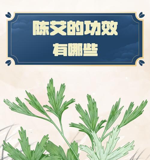 什么植物能缓解脚痛？它们的药用价值是什么？