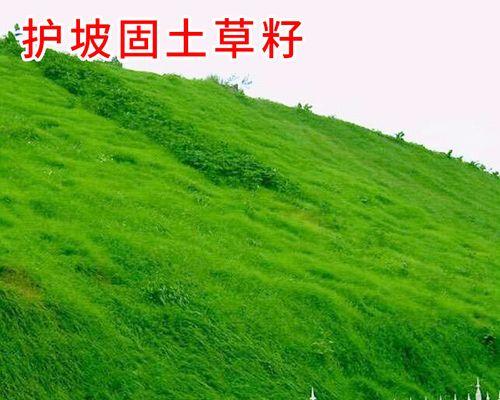 怎么介绍草坪种子植物？草坪种子植物的特性是什么？
