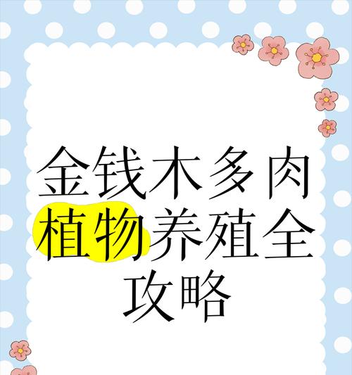 如何正确养植钱多多植物？