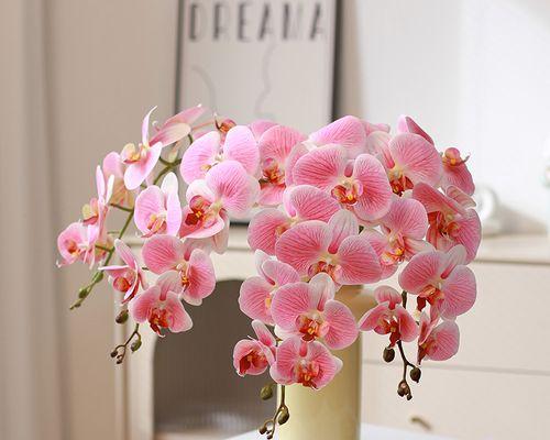 仿古风格的家居适合摆放哪些花卉？它们的特点是什么？