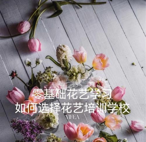 移动花卉创业项目有哪些选择？如何选择适合自己的项目？