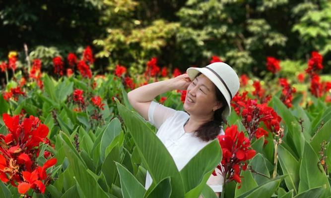 紫蝶病是哪种花卉的常见病？如何防治紫蝶病？