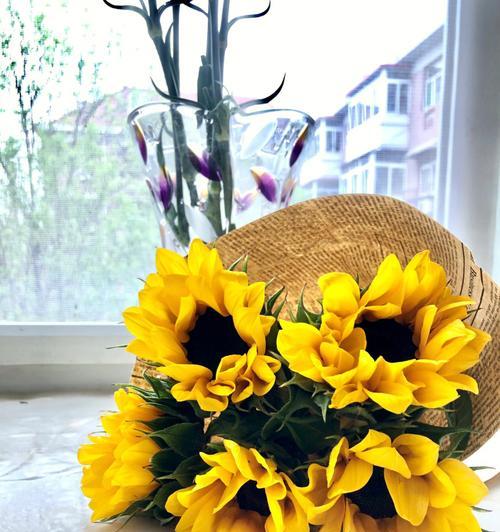 镜子花语代表什么意义？