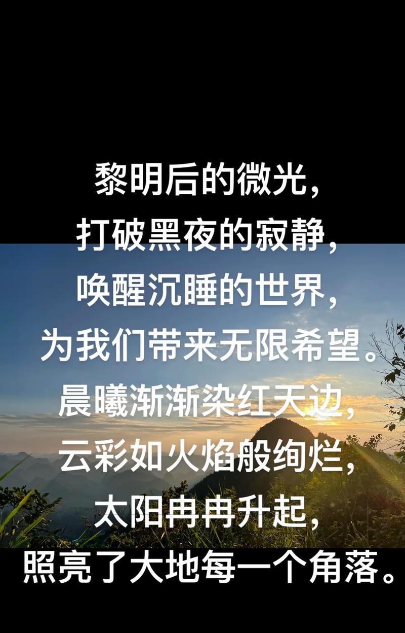 黑暗后的光芒花语寓意何在？