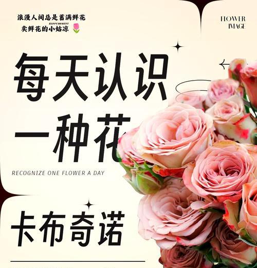 卡布奇诺的花语梗有何特别含义？