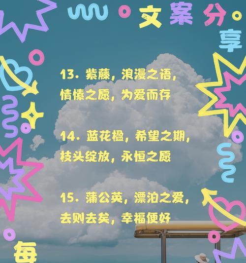 把爱藏在心底的花语代表哪种花？如何表达这种情感？