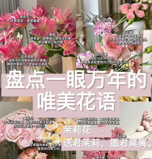 把爱藏在心底的花语代表哪种花？如何表达这种情感？