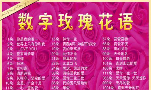 两束单支玫瑰花的花语有何特别之处？