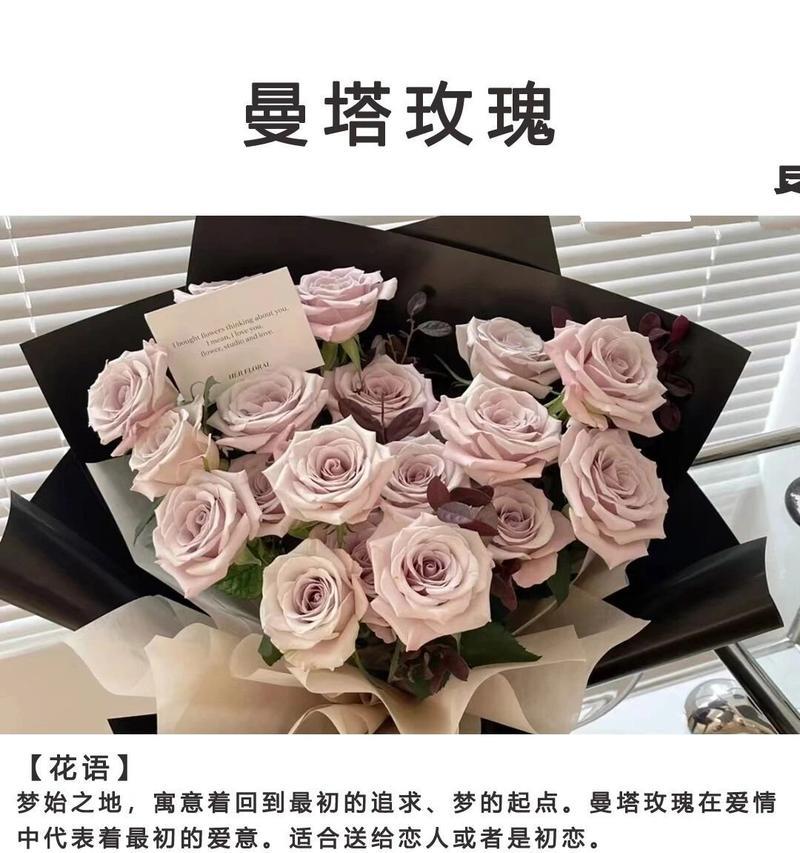 曼塔玫瑰两朵的花语有何不同？