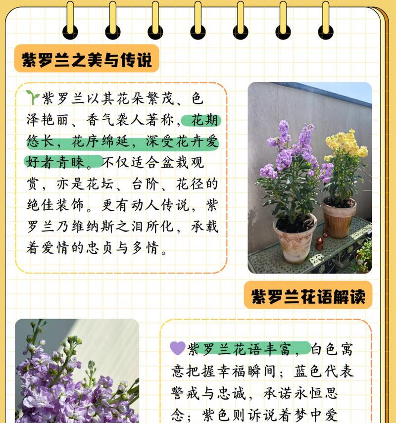 小罗谢谢你的花语有何含义？