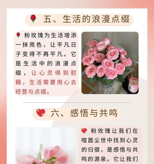 送给情侣最浪漫的花语是什么？顽强平凡的花语是什么呢？