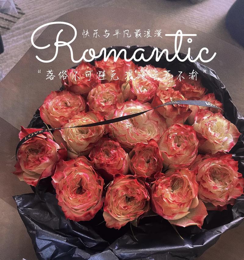 送给情侣最浪漫的花语是什么？顽强平凡的花语是什么呢？
