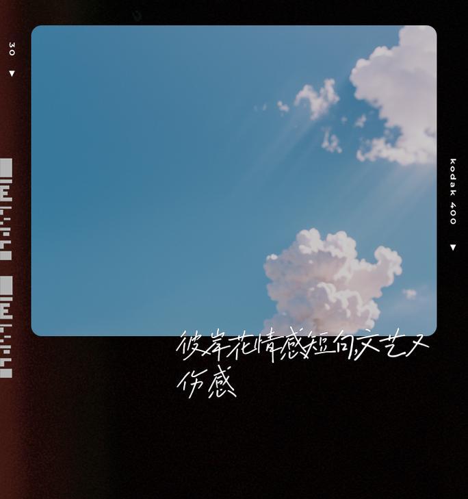 悲伤感情的花语代表什么含义？