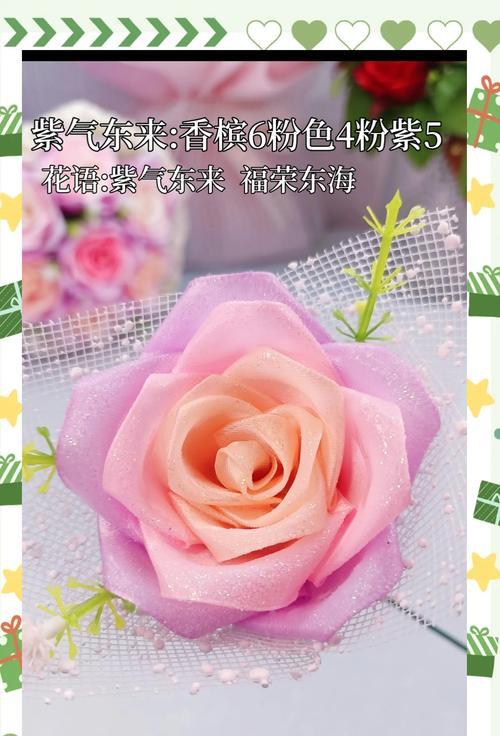 女孩手上的玫瑰花有何象征意义？玫瑰花代表了什么？