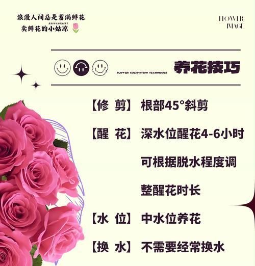 弗洛伊德玫瑰的寓意和花语含义是什么？