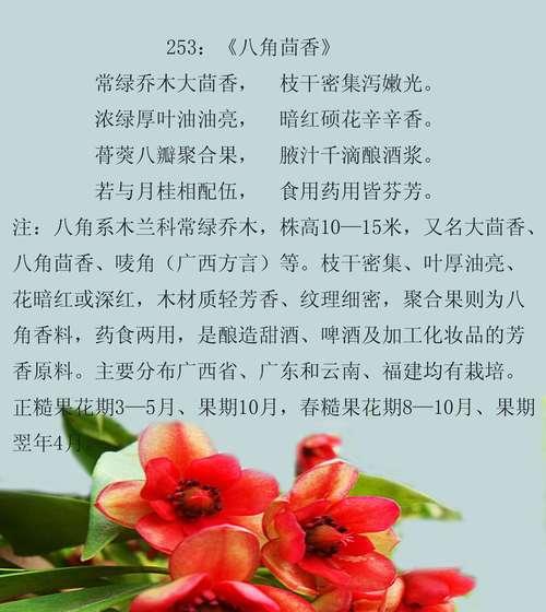 八角花的花语有哪些寓意？