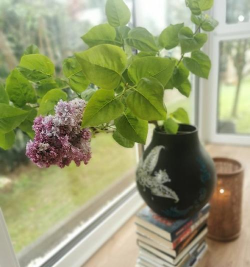 树桩上插花有何特别含义？