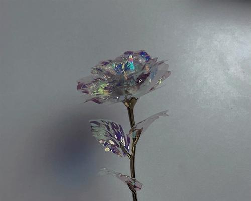 金箔玫瑰花的寓意是什么？金箔玫瑰花的象征意义有哪些？