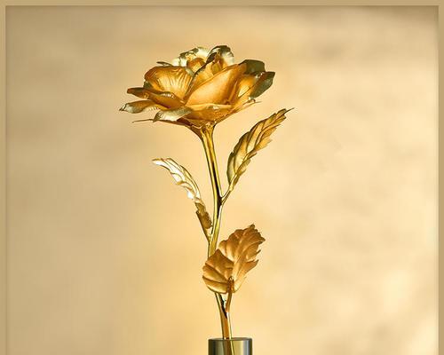 金箔玫瑰花的寓意是什么？金箔玫瑰花的象征意义有哪些？