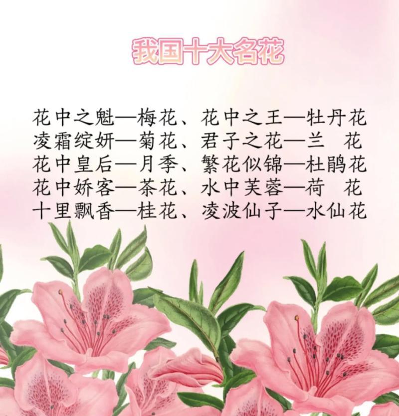 白色杜鹃花的花语和寓意是什么？它代表了什么？