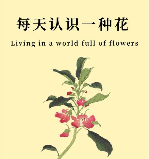 消极情绪用哪种花语表达？