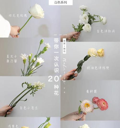 如何用花语劝女朋友开心？