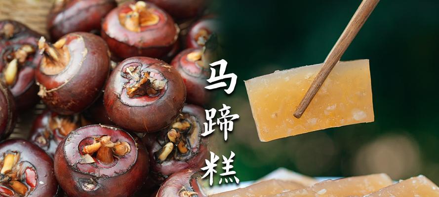 马蹄糕的花语有何独特之处？