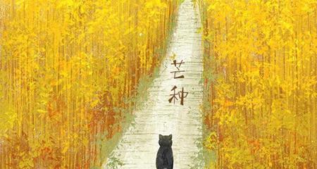 乌桕树的花语和象征是什么？它有何含义？