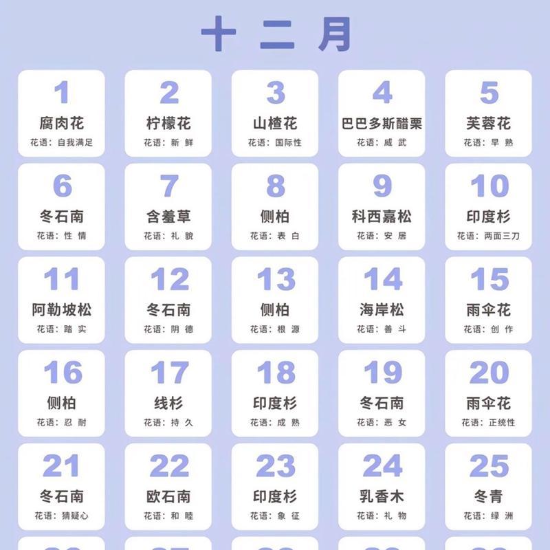 十二月的花语有哪些含义？