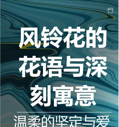 手工花的花语有何不同？如何表达情感？