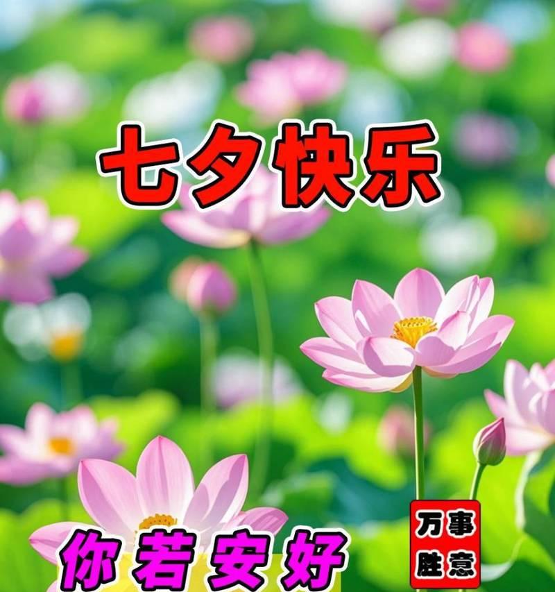 七夕节相关的花语有哪些？