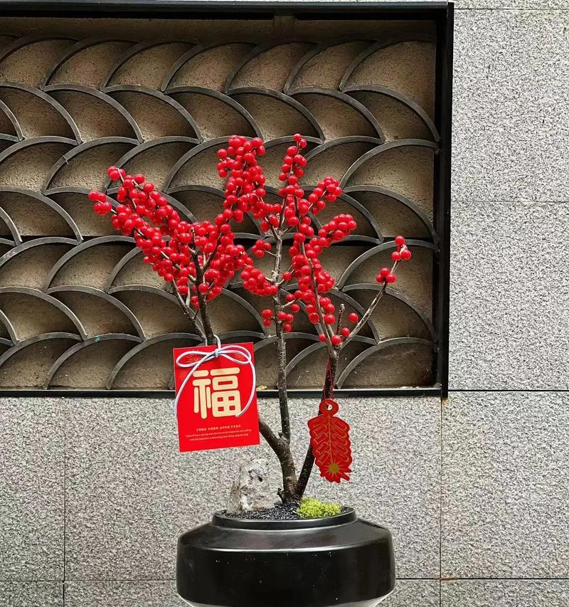 红豆和冬青的花语代表什么含义？