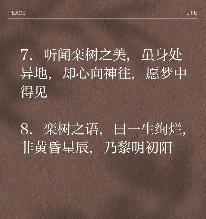 抵达黎明象征着什么花？抵达黎明的花语是什么？
