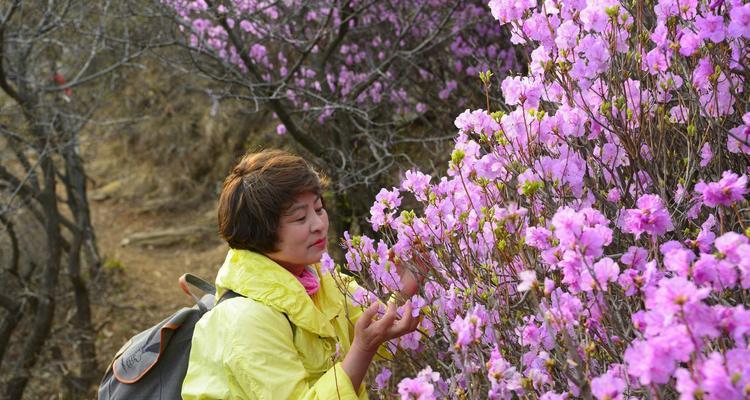 什么树的花语代表嫉妒善变？这种树的花语是什么？
