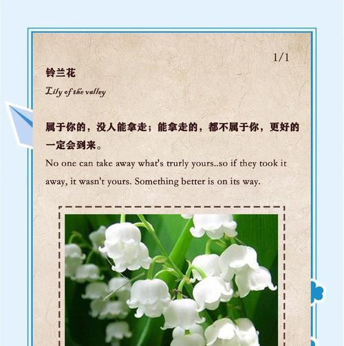 吊铃兰花的花语是什么？这种花语有何特别含义？