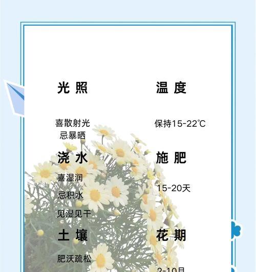 友情与爱情的花语有何区别？
