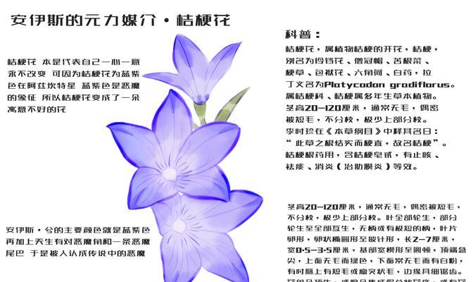 “花语少年”的大写字母是什么？它在花语中有什么特别的含义？