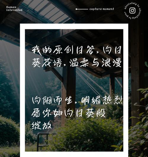 “停止喜欢”花语表达的是什么情感？