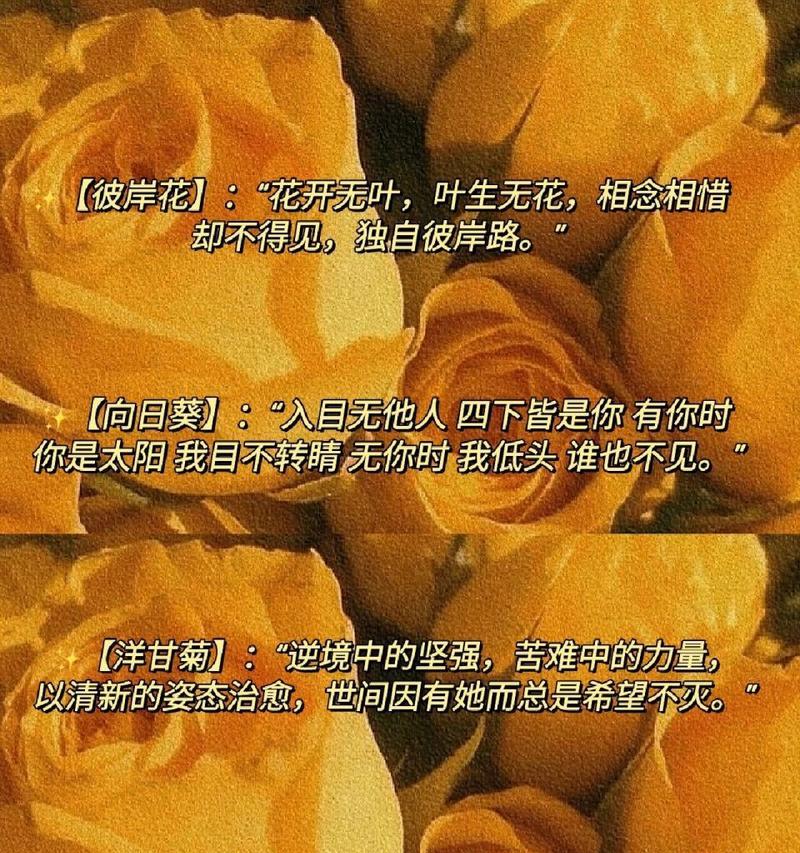 烟花下个花语有何含义？烟花花语背后的故事是什么？