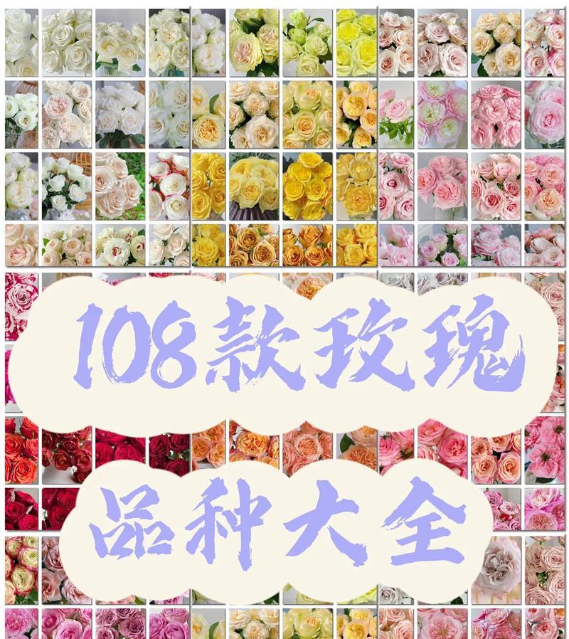 8枝玫瑰代表什么？花语含义是什么？