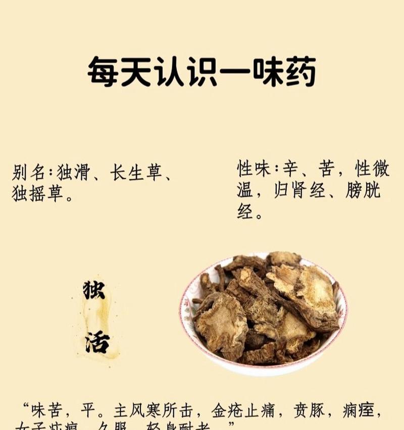野性独活的花语是什么？这个花语有何含义？