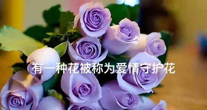 玫瑰花手链的花语是什么？它代表了怎样的情感？