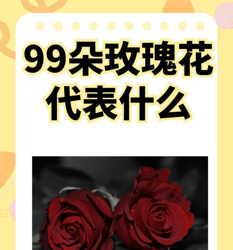 如意玫瑰的花语是什么？代表什么意义？