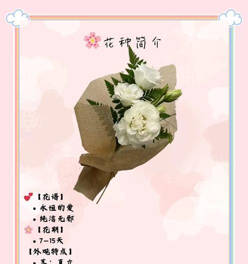 洋桔梗白色花语寓意是什么？洋桔梗还有哪些其他颜色的花语？