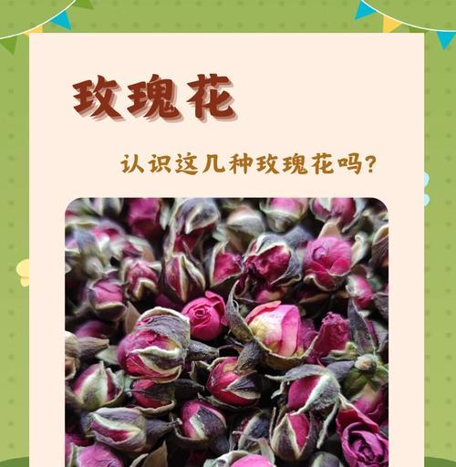 不同种类的玫瑰花寓意有何不同？