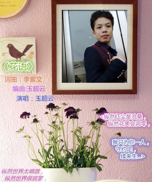遇见你是奇迹的花语有何深意？它表达了哪种情感？