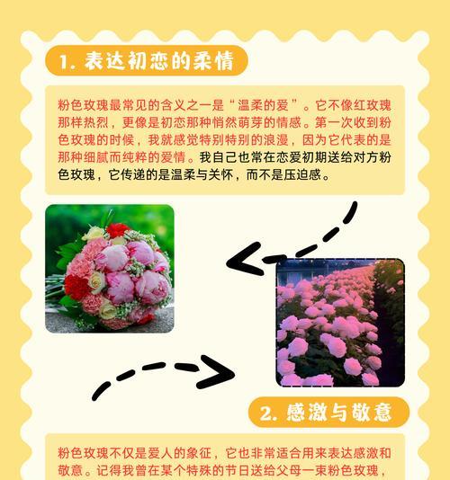 19朵粉玫瑰的花语代表什么？