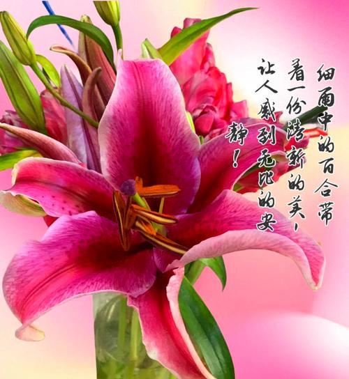 红色和橘色搭配的花语代表什么含义？