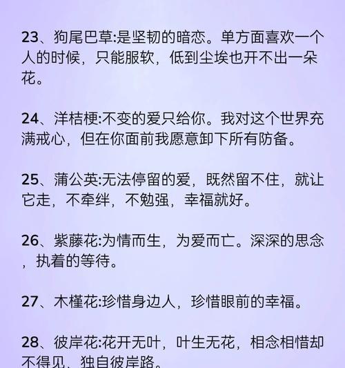 红玫瑰还有哪些别样的花语？它们各自代表什么？