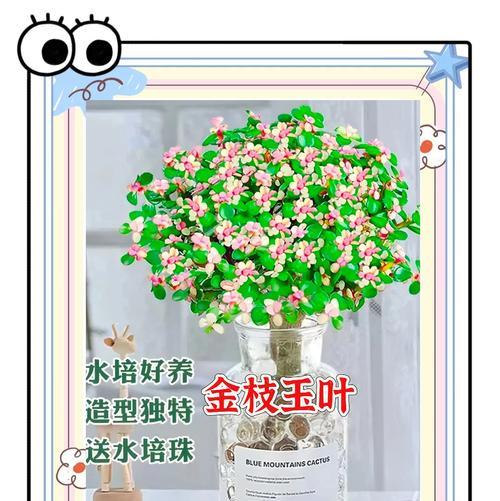 金枝玉叶的真正含义是什么？
